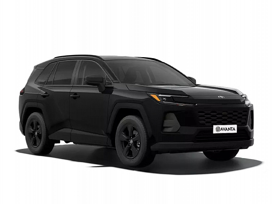 Toyota RAV4 NEW Luxury 2.5 CVT 236 л.с. 4x4 Black